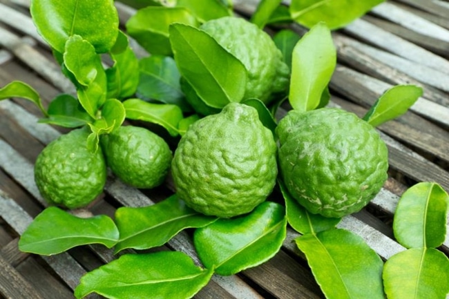bergamot la gi 3